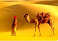 Rajasthan Travel