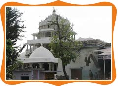 Dilwara Jain Temples