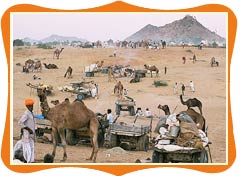 Pushkar Fair