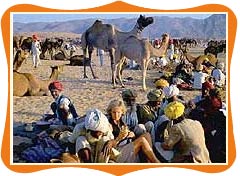 Pushkar Fair