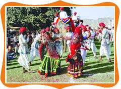 Rajasthan Festivals